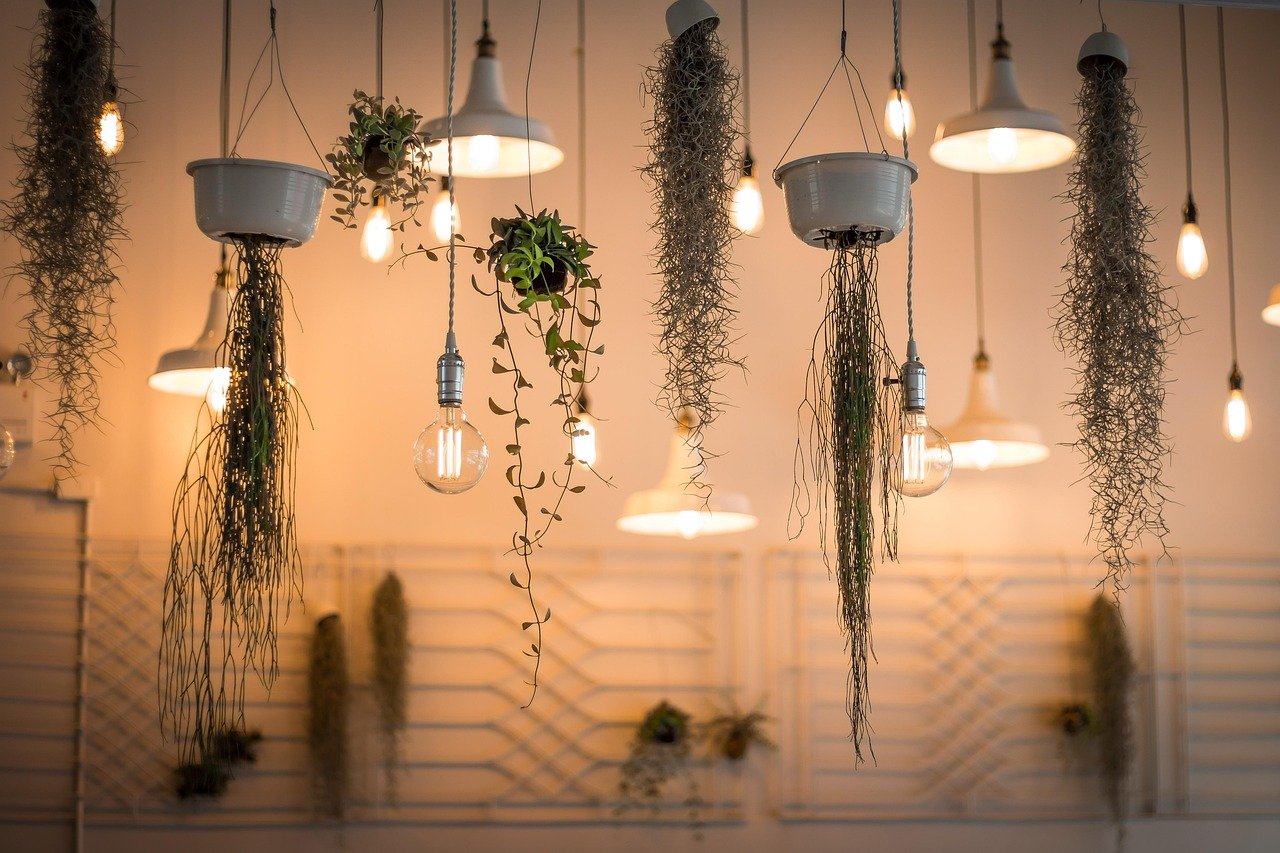 lights, decoration, illuminated, interior design, plants, nature, light bulbs, hanging plants, incandescent, lighting, interior decoration